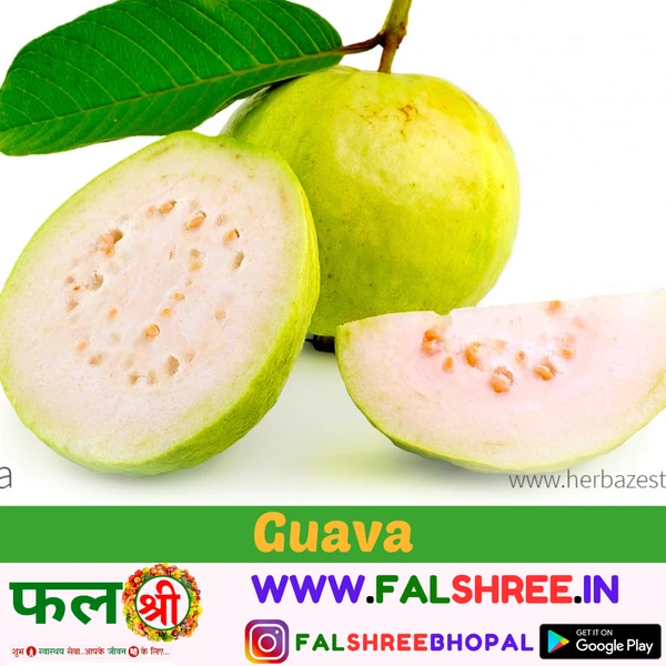 GUAVA DESI(अमरूद देसी)  - 1KG