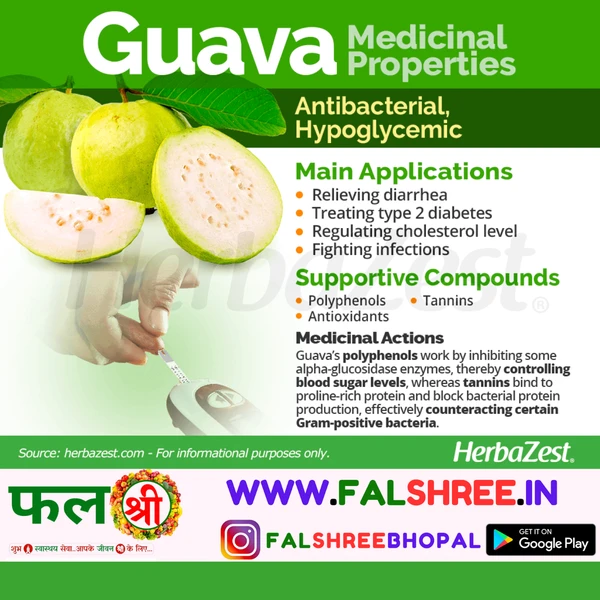 GUAVA(�??�??�?�����??) HYBRID - 1kg