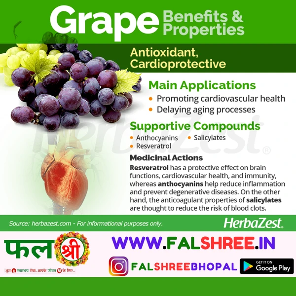 GRAPES (अंगूर ) - 500g