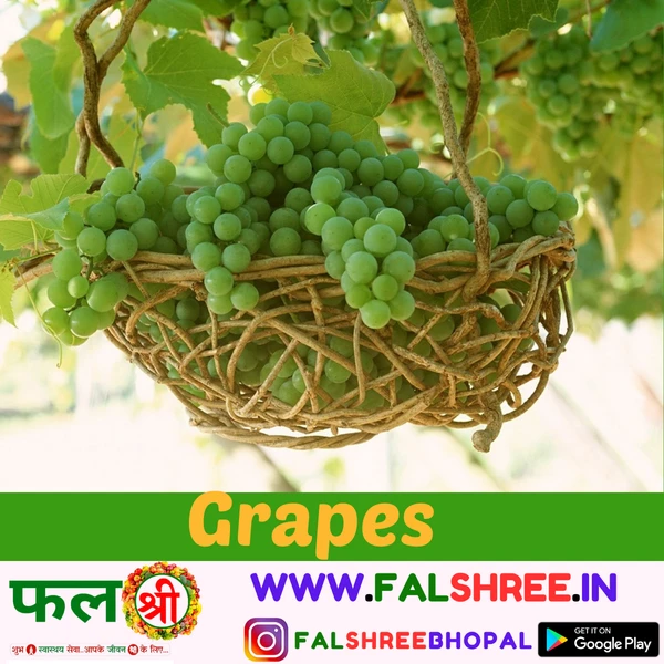 GRAPES (अंगूर ) - 500g