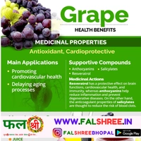GRAPES BLACK (�??�??�?���? �??�??�??��?�?�) - 500