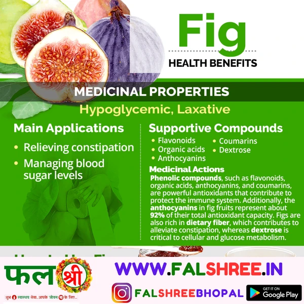 FIG FRUIT(अंजीर का फल )