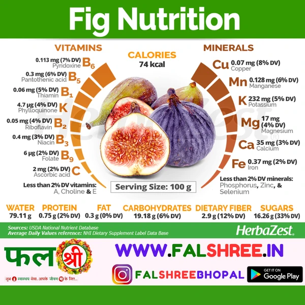 FIG FRUIT(अंजीर का फल )