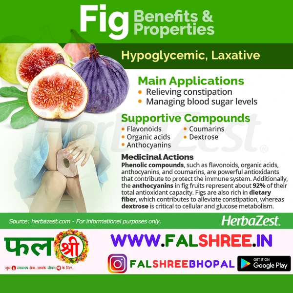 FIG FRUIT(अंजीर का फल )