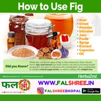 FIG FRUIT(अंजीर का फल )