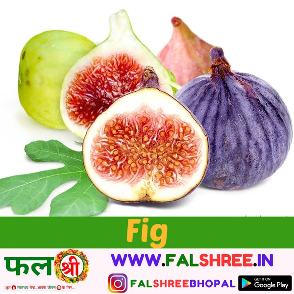 FIG FRUIT(अंजीर का फल )