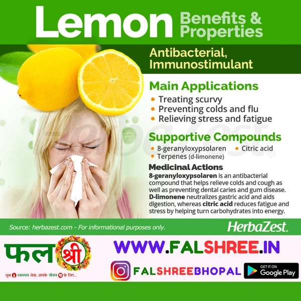 LEMON(निम्बू) - 3