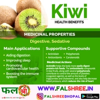 KIWI(�??��?�?慝?) - 1
