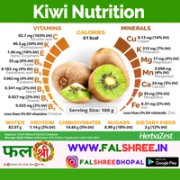 KIWI(�??��?�?慝?) - 1