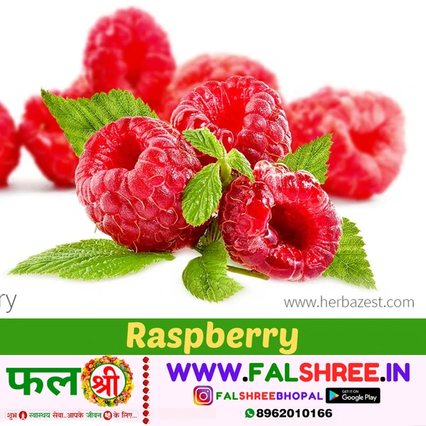 RASPBERRY RED (रसभरी लाल) - 250