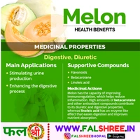 MUSKMELON (�??�?��?���?�??�??)