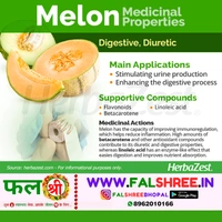 MUSKMELON (�??�?��?���?�??�??)