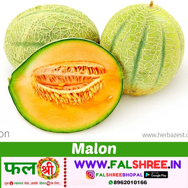 MUSKMELON (खरबूजा)