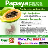 PAPAYA  HYBRID (�?��?���?�??�?? �??�??�??�?�����?��?��?�) - 1KG