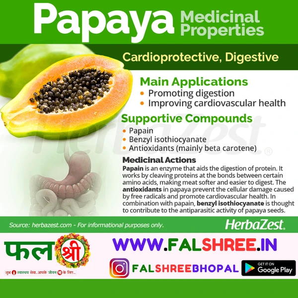 PAPAYA  HYBRID (पपीता हाइब्रिड)  - 500g