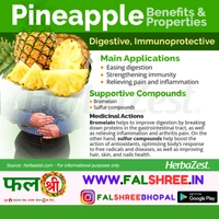 PINAPPLE (�??�??�??�??�??)