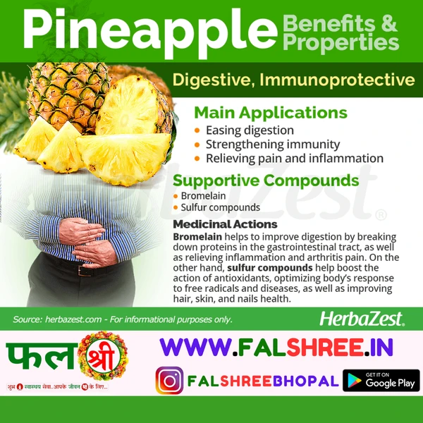 PINAPPLE (अनानस)