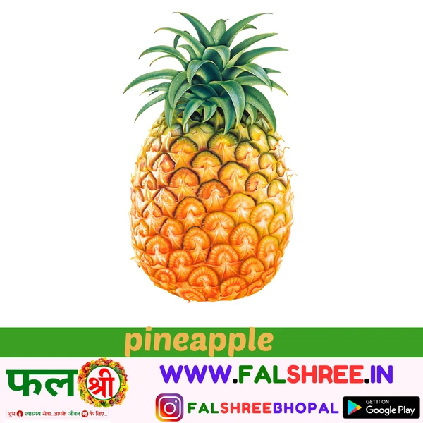 PINAPPLE (अनानस)