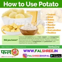 POTATO(आलू) - 500