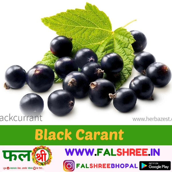 BLACK CARANT (जामुन) - 250