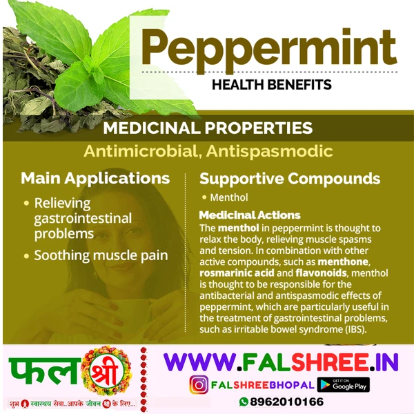 PEPPERMINT (पुदीना )