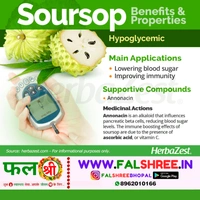 CUSTURD APPLE  (�??��?�??�??�?��?�) - 500