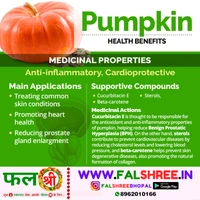 PUMPKIN (कद्दु)  - 1KG