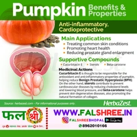 PUMPKIN (कद्दु)  - 1KG