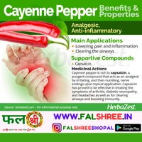 RED CHILLI (लाल मिर्च)