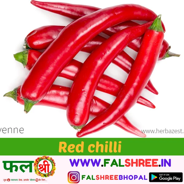 RED CHILLI (लाल मिर्च)