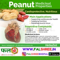 Peanuts With Shell (छिलके वाली मूँगफली)
