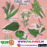 WILD SPINACH  (बथुआ) - 500g