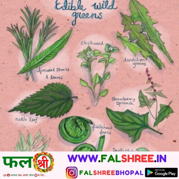 WILD SPINACH  (बथुआ) - 250g