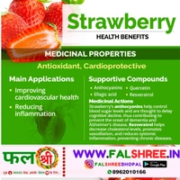 STRAWBERRY (�??����??����?��??�?���?�?���? ) - 1KG