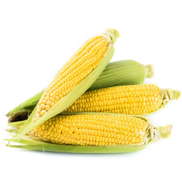 SWEET CORN/MAIZE (स्वीट कार्न भुट्टा/मक्का) - 10