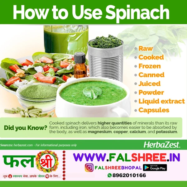 Fresh & Fine SPINACH (पालक) - 1