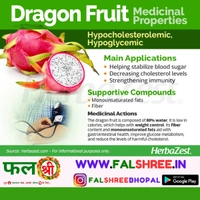 Dragon  fruit