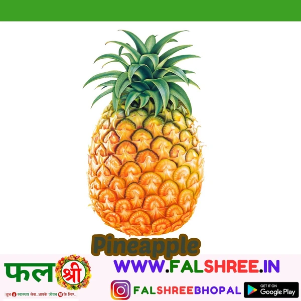 Pineapple-अनानास BIG SIZE