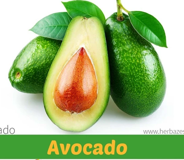 Avocado - 1kg