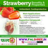STRAWBERRY (�??����??����?��??�?���?�?���? ) - 1KG
