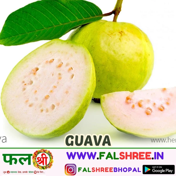 GUAVA-अमरूद - 500