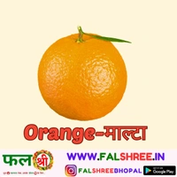 Orange माल्टा - 500