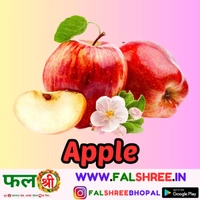 Apple - 500