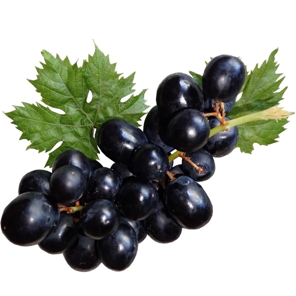 GRAPES BLACK (काले अंगूर) - 250g