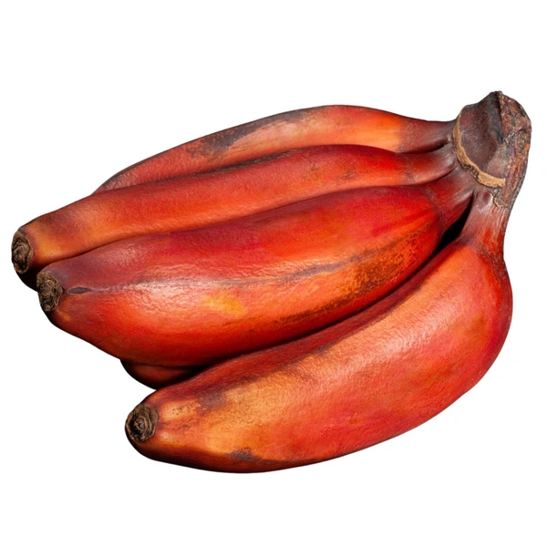 RED BANANA(�?��??�?� �??��?�?��?? )