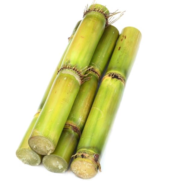 SUGERCANE (�??�??����??�??) - 250