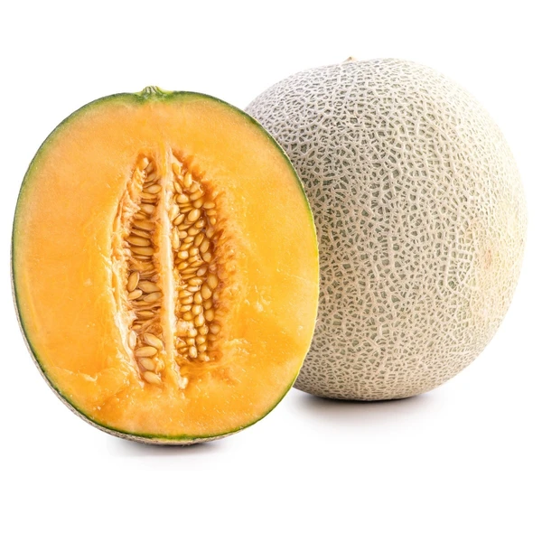 MUSKMELON (खरबूजा)