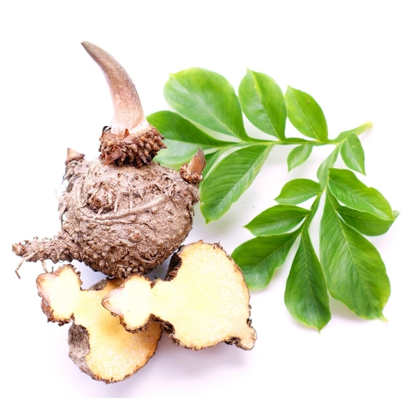 Elephant Food Yam - 1KG