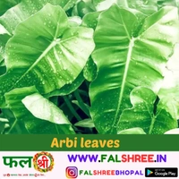 Arbi Leaves (अरबी के पत्ते)