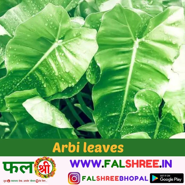 Arbi Leaves (अरबी के पत्ते)